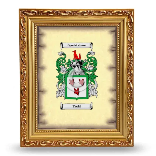 Todd Coat of Arms Framed - Gold