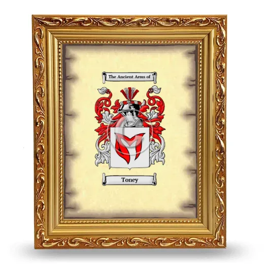 Toney Coat of Arms Framed - Gold