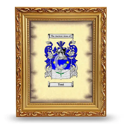 Toni Coat of Arms Framed - Gold