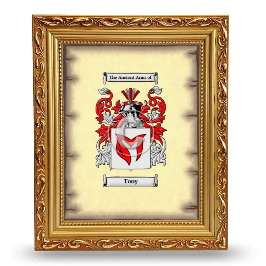 Tony Coat of Arms Framed - Gold