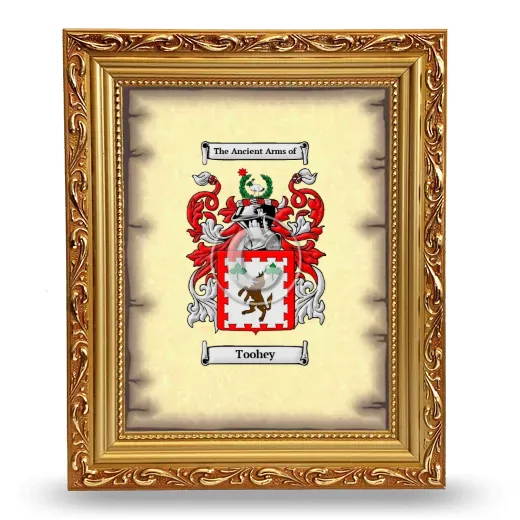 Toohey Coat of Arms Framed - Gold