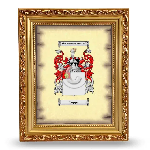Topps Coat of Arms Framed - Gold