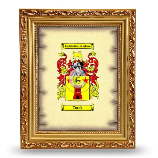 Torak Coat of Arms Framed - Gold