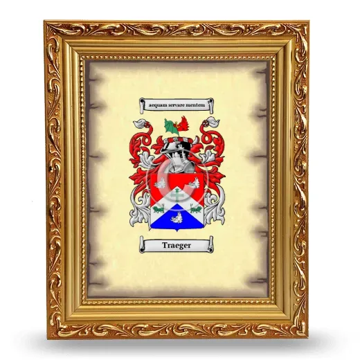 Traeger Coat of Arms Framed - Gold