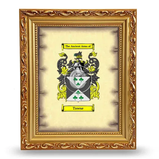 Treese Coat of Arms Framed - Gold