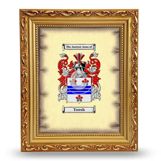 Treesh Coat of Arms Framed - Gold