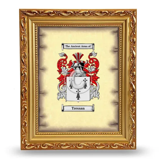 Tressan Coat of Arms Framed - Gold