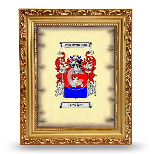 Trevelyan Coat of Arms Framed - Gold