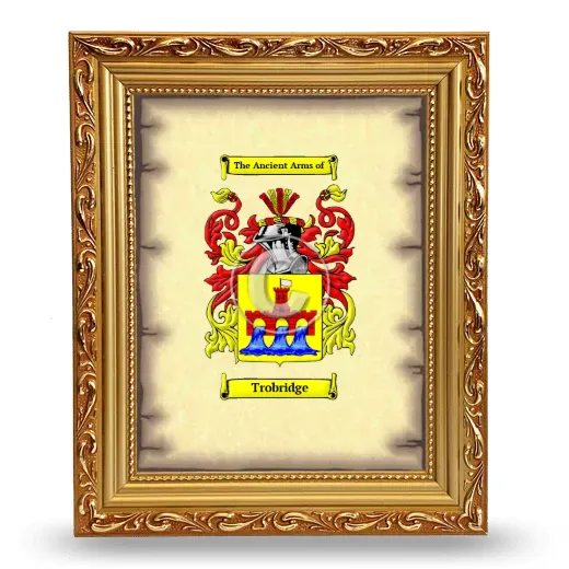 Trobridge Coat of Arms Framed - Gold
