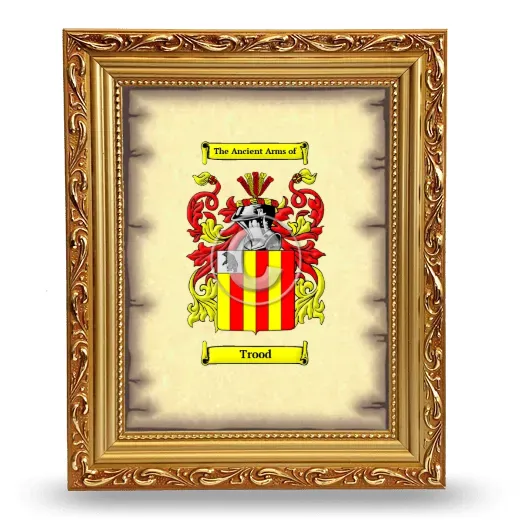 Trood Coat of Arms Framed - Gold