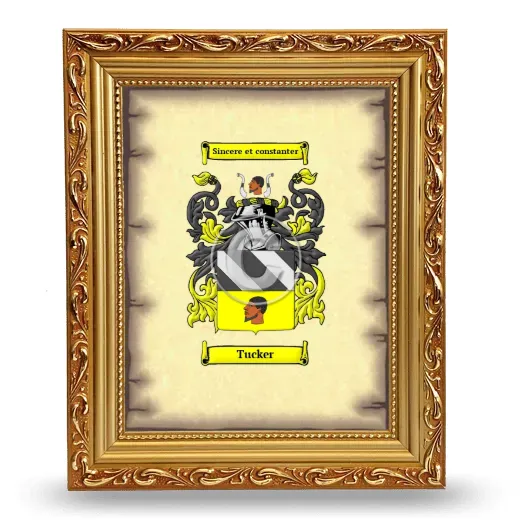 Tucker Coat of Arms Framed - Gold