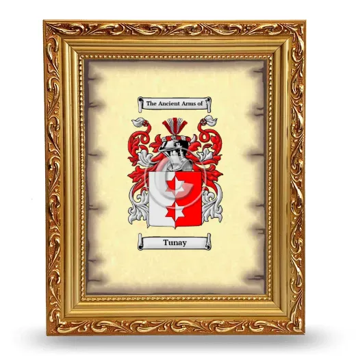 Tunay Coat of Arms Framed - Gold