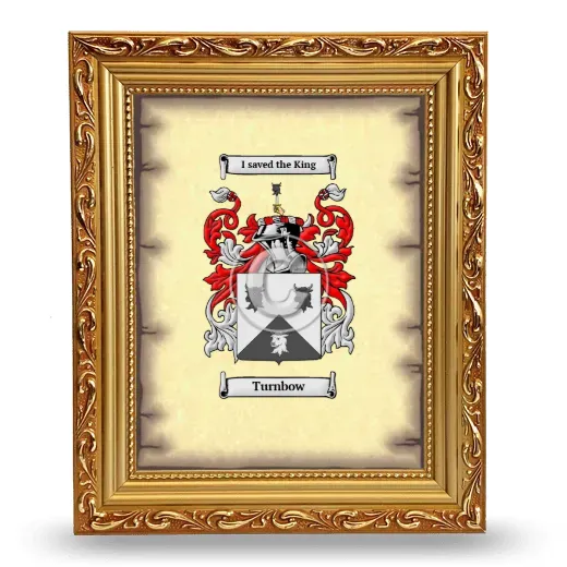Turnbow Coat of Arms Framed - Gold