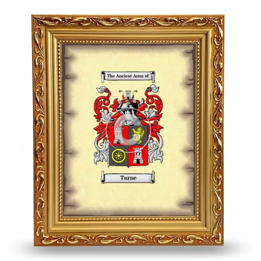 Turne Coat of Arms Framed - Gold