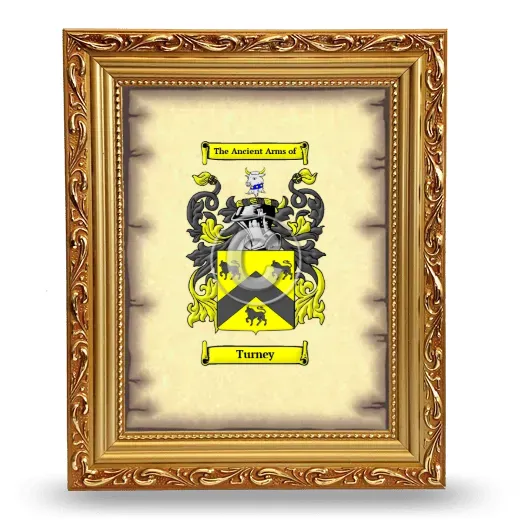 Turney Coat of Arms Framed - Gold