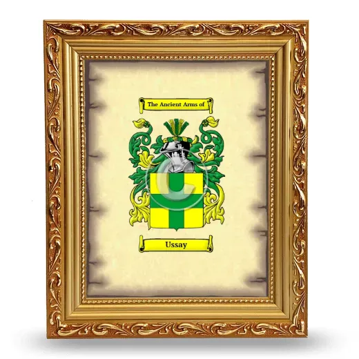 Ussay Coat of Arms Framed - Gold