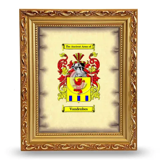 Vandenbos Coat of Arms Framed - Gold