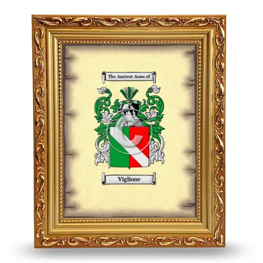 Viglione Coat of Arms Framed - Gold