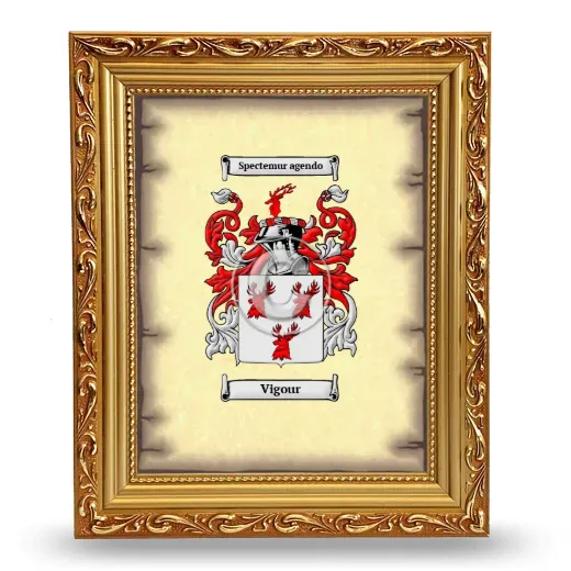 Vigour Coat of Arms Framed - Gold