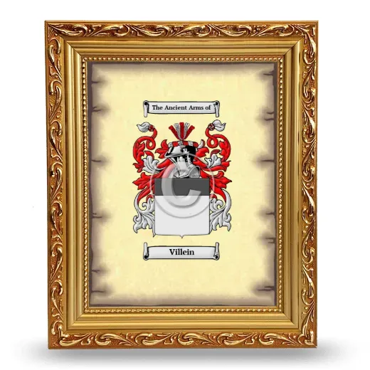 Villein Coat of Arms Framed - Gold