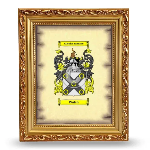 Walsh Coat of Arms Framed - Gold