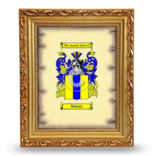 Waters Coat of Arms Framed - Gold