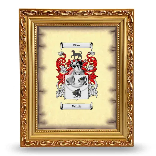 While Coat of Arms Framed - Gold