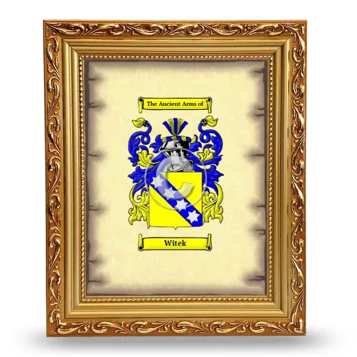Witek Coat of Arms Framed - Gold