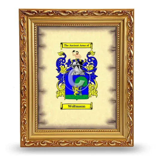 Woltmann Coat of Arms Framed - Gold
