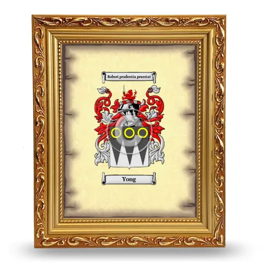 Yong Coat of Arms Framed - Gold