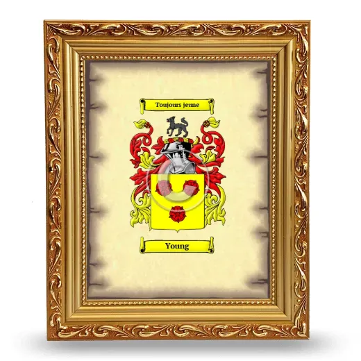 Young Coat of Arms Framed - Gold