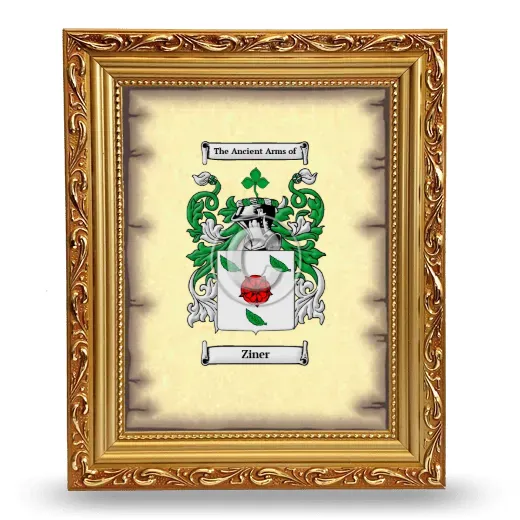 Ziner Coat of Arms Framed - Gold