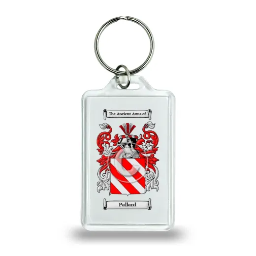 Pallard Keychain
