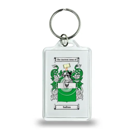 Saltus Keychain