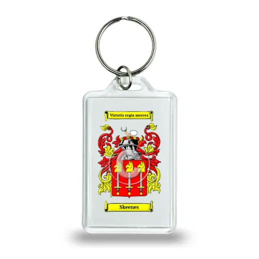 Skeenes Keychain
