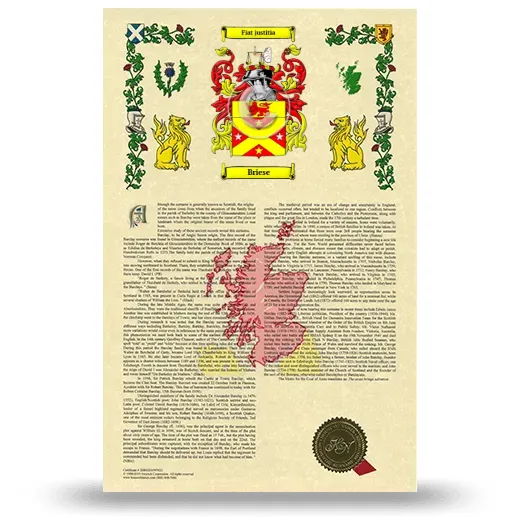 Briese Armorial History with Coat of Arms