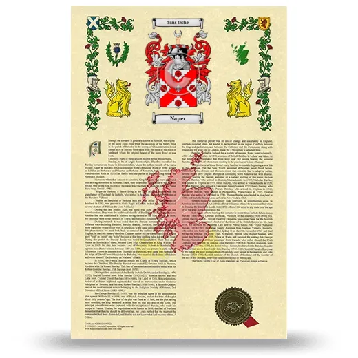 Naper Armorial History with Coat of Arms