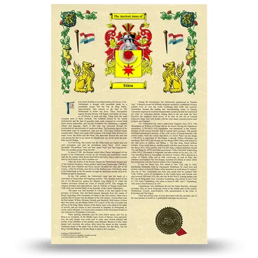 Stien Armorial History with Coat of Arms
