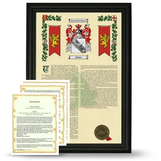 Amyas Framed Armorial History and Symbolism - Black
