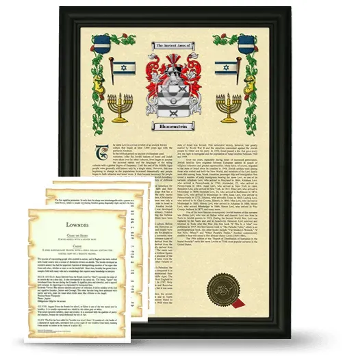 Blumenstein Framed Armorial History and Symbolism - Black