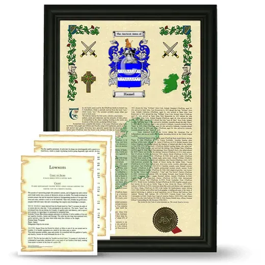 Hamel Framed Armorial History and Symbolism - Black