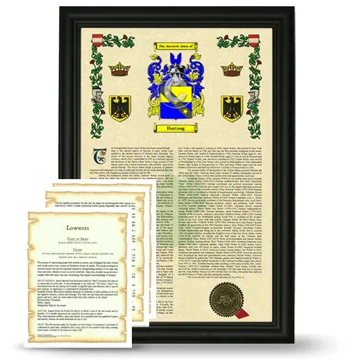 Hartzog Framed Armorial History and Symbolism - Black