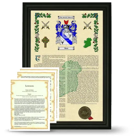 Nees Framed Armorial History and Symbolism - Black