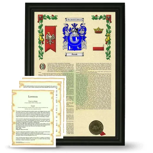 Pucek Framed Armorial History and Symbolism - Black