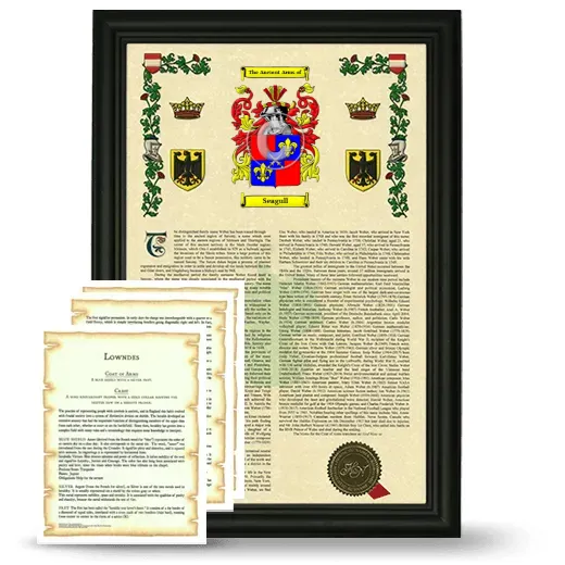 Seagull Framed Armorial History and Symbolism - Black