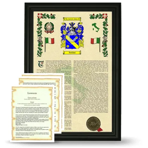 Techini Framed Armorial History and Symbolism - Black