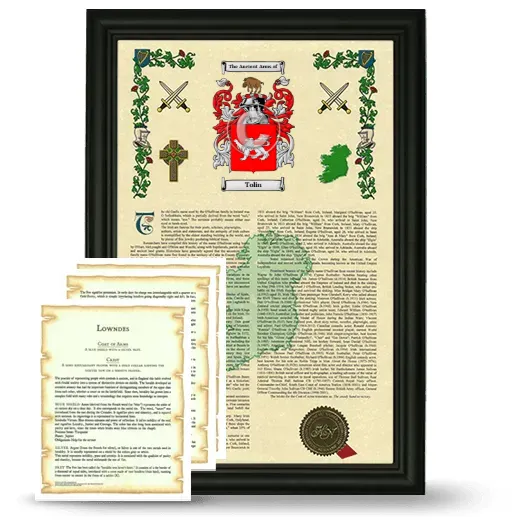 Tolin Framed Armorial History and Symbolism - Black