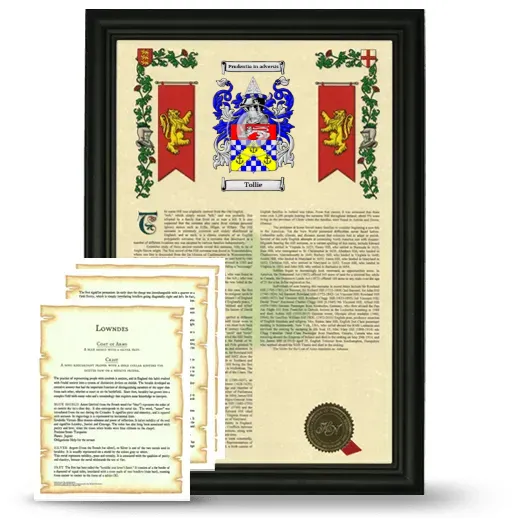 Tollie Framed Armorial History and Symbolism - Black