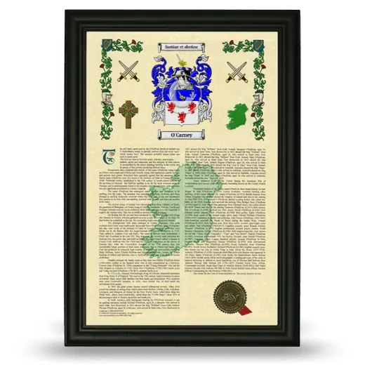 O'Carney Armorial History Framed - Black