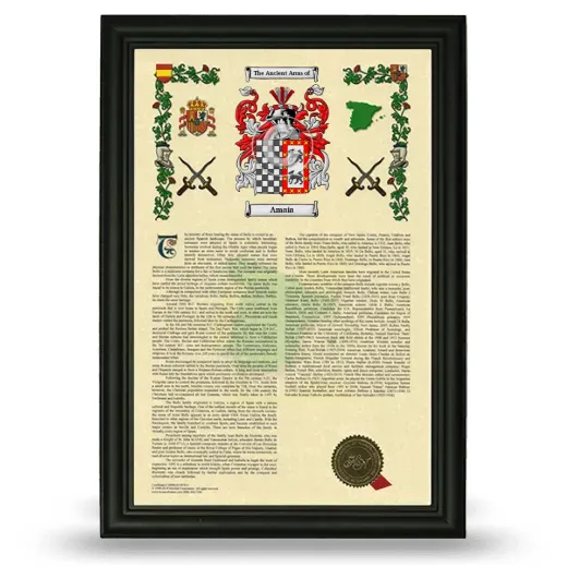 Amaia Armorial History Framed - Black